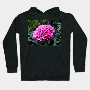 Deep Pink Summer Hydrangea Photo with Digital Effects Hoodie